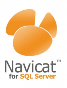 SQLServer_72dpi_250X326